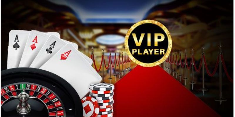 Giá trị ưu đãi dành cho thành viên lâu năm trên nền tảng